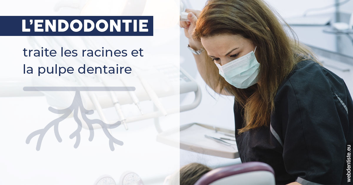 https://dr-hildwein-marc.chirurgiens-dentistes.fr/L'endodontie 1
