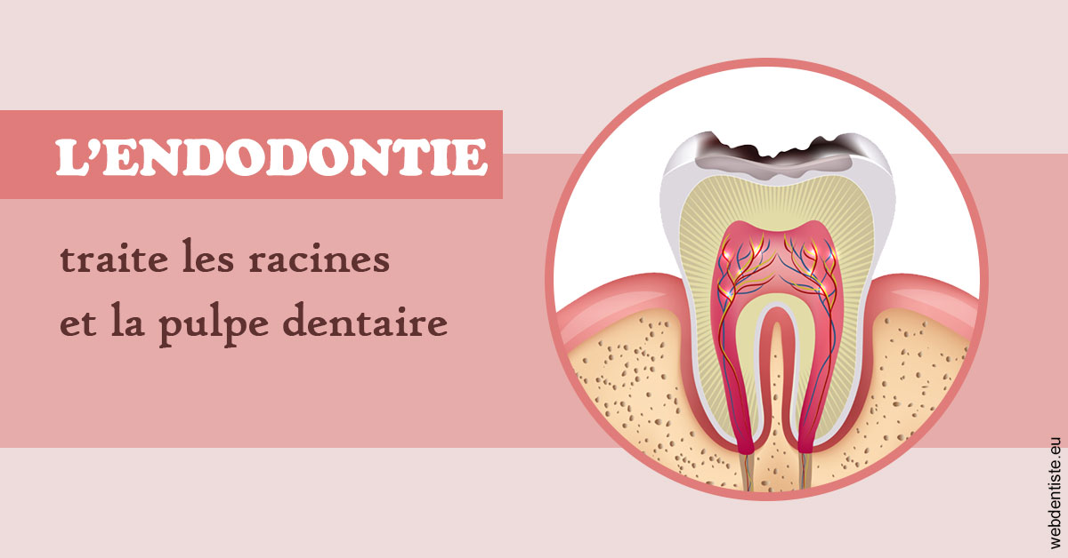 https://dr-hildwein-marc.chirurgiens-dentistes.fr/L'endodontie 2