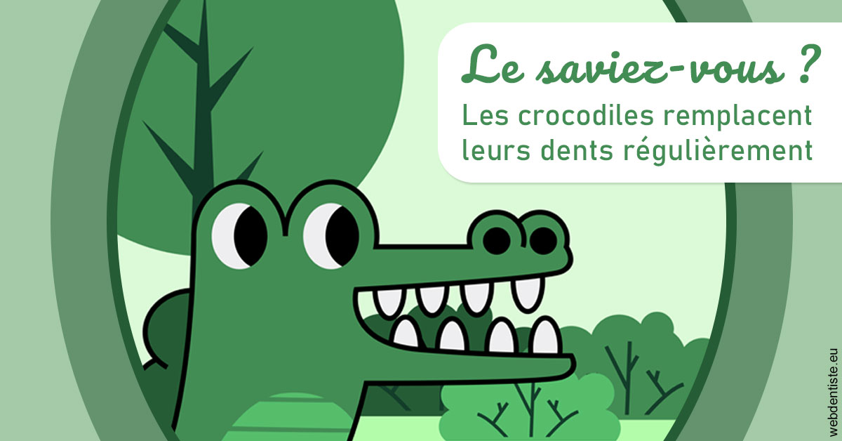 https://dr-hildwein-marc.chirurgiens-dentistes.fr/Crocodiles 2