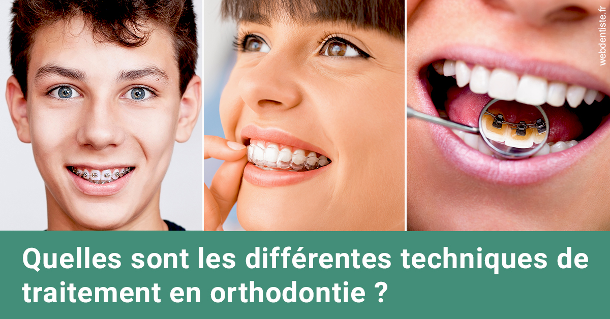 https://dr-hildwein-marc.chirurgiens-dentistes.fr/Les différentes techniques de traitement 2